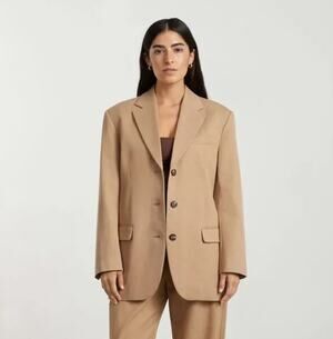 Everlane The 80's Blazer Ash Brown 3 Button Front Long Sleeve Women's 8 NWT